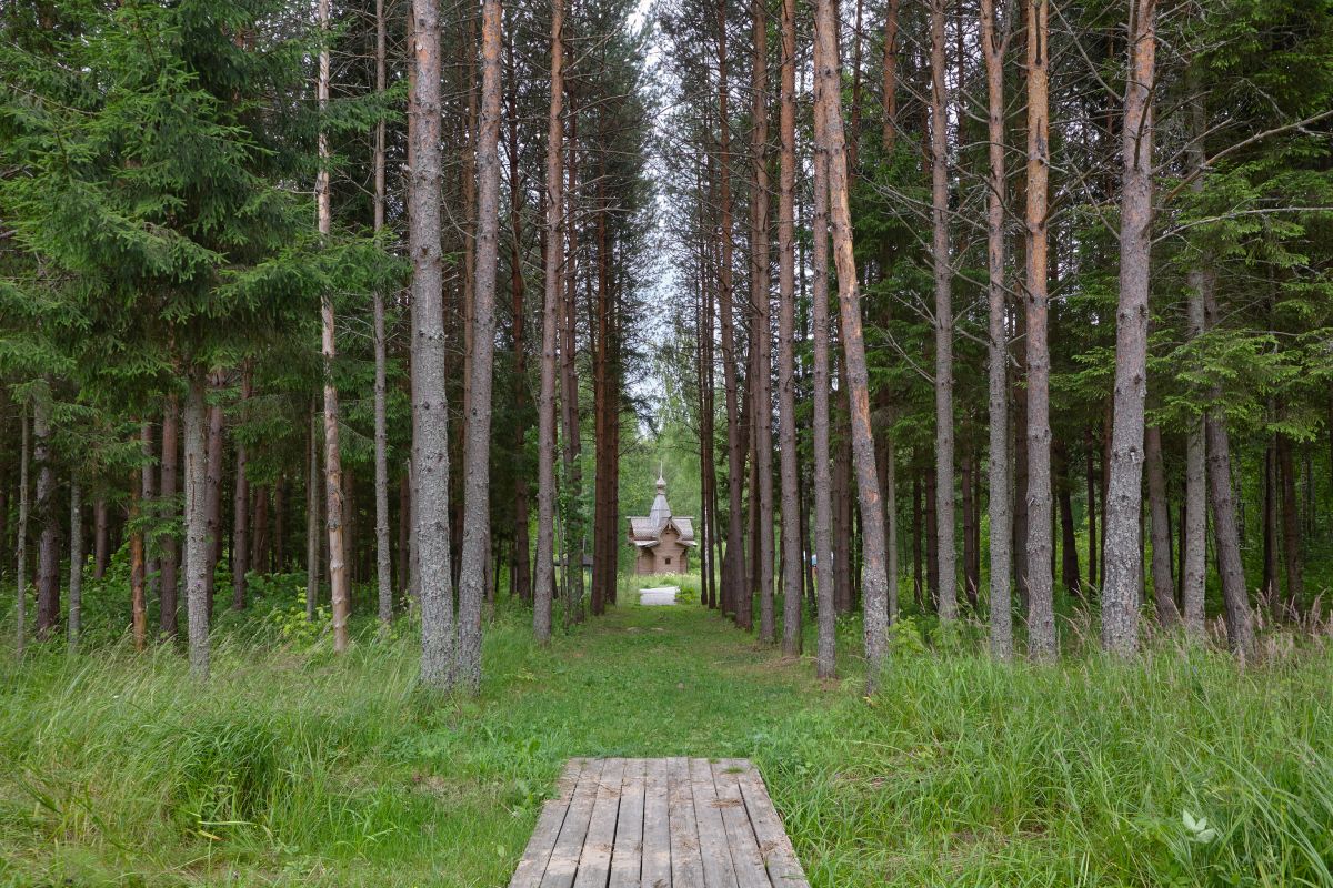 Исток Западной Двины 