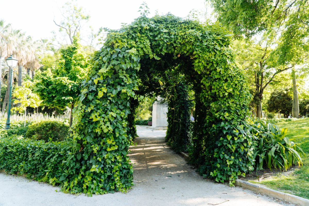 Памятник Висенте В Керолю