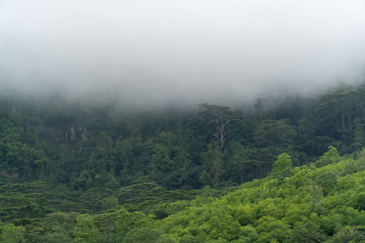 Сейшельский международный аэропорт