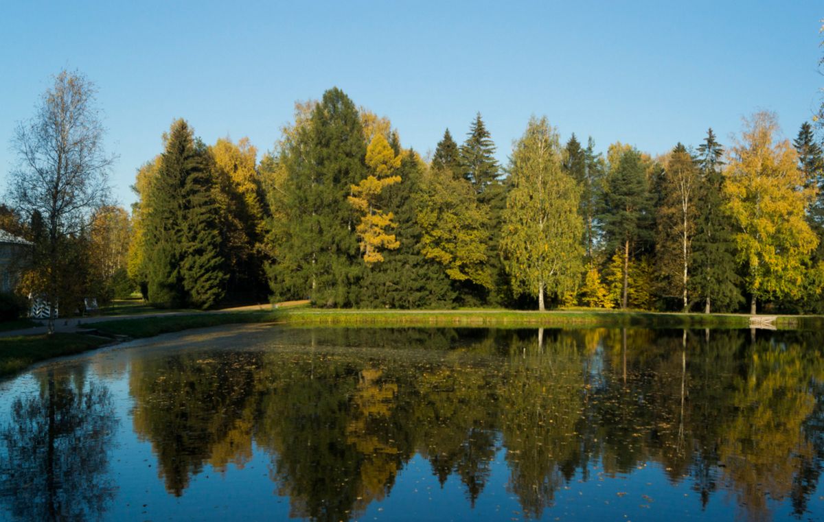 Павловский парк