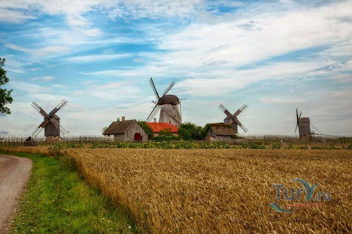 Холм с Ветряными Мельницами Англа