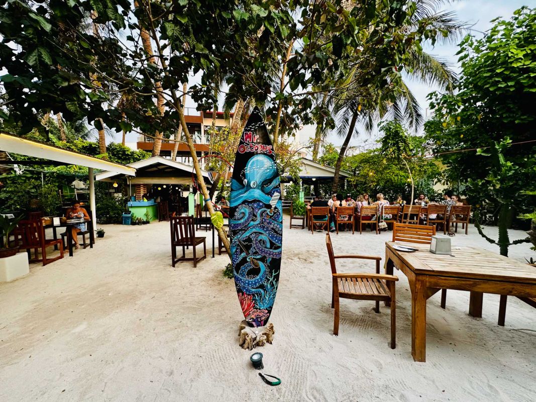 Mr.Octopus - Your holiday Chef