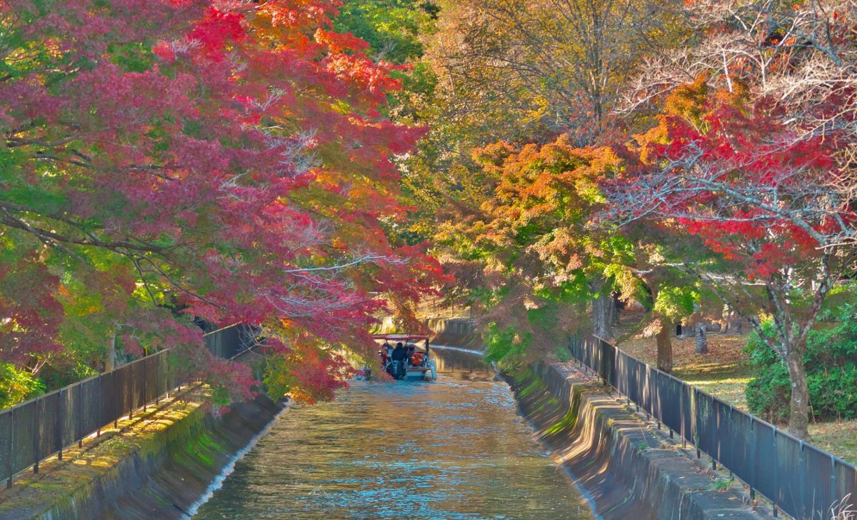 Канал озера Бива