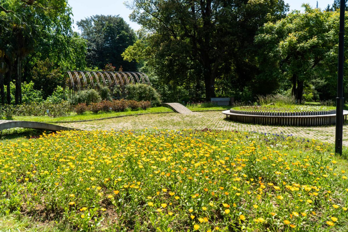Батумский ботанический сад