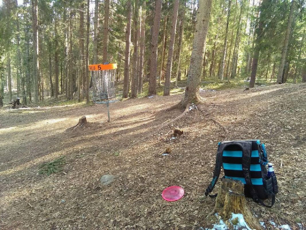 Диск-гольф парк Вооремяэ