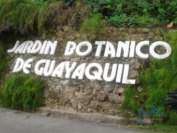 Ботанический Сад Гуаякиль