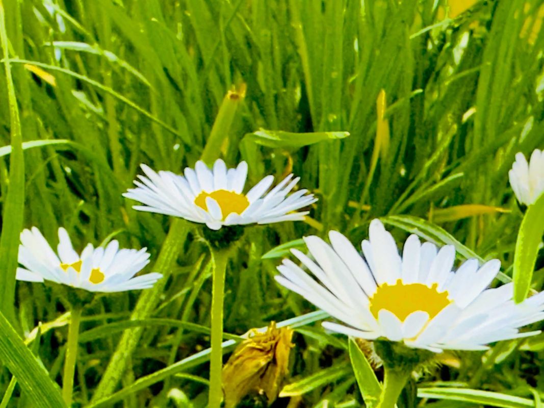 Парк Юлиуша Словацкого