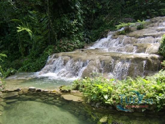 Сад и музей реки Кояба