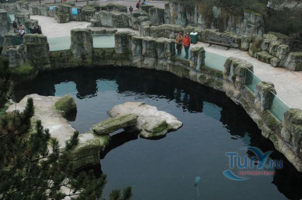 Зоопарк во Франкфурте-на-Майне