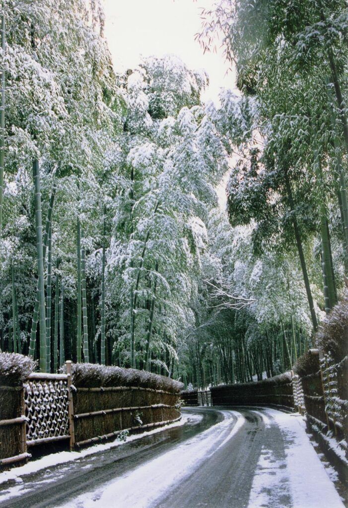 Такэ-но-Мичи (Бамбуковая тропа)