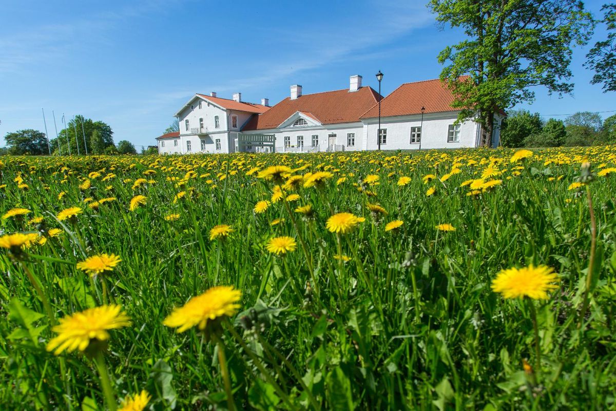 Полярная мыза Кукрузе