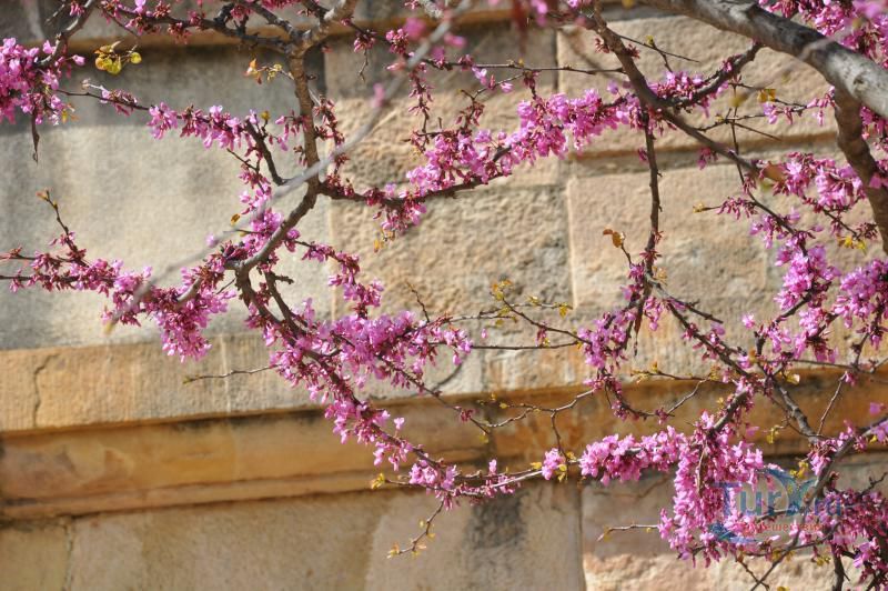 Парк Цитадели (Ciutadella Park)