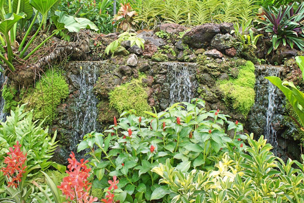 Сингапурский ботанический сад