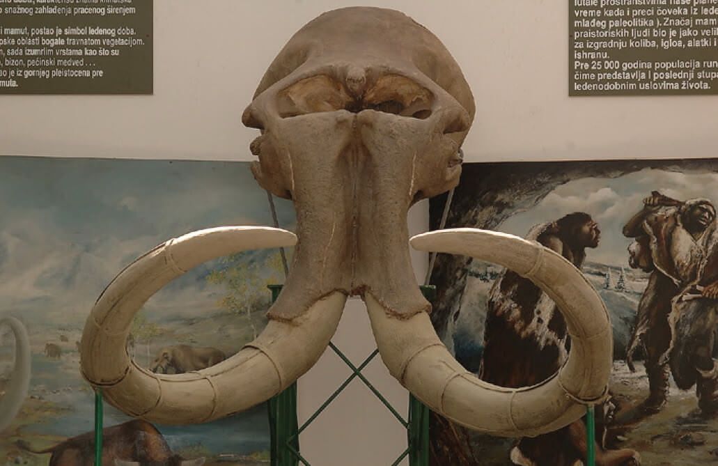 Природная коллекция Института охраны природы