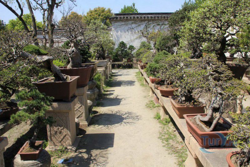 Сад Скромного Чиновника (Чжочжэнъюань)