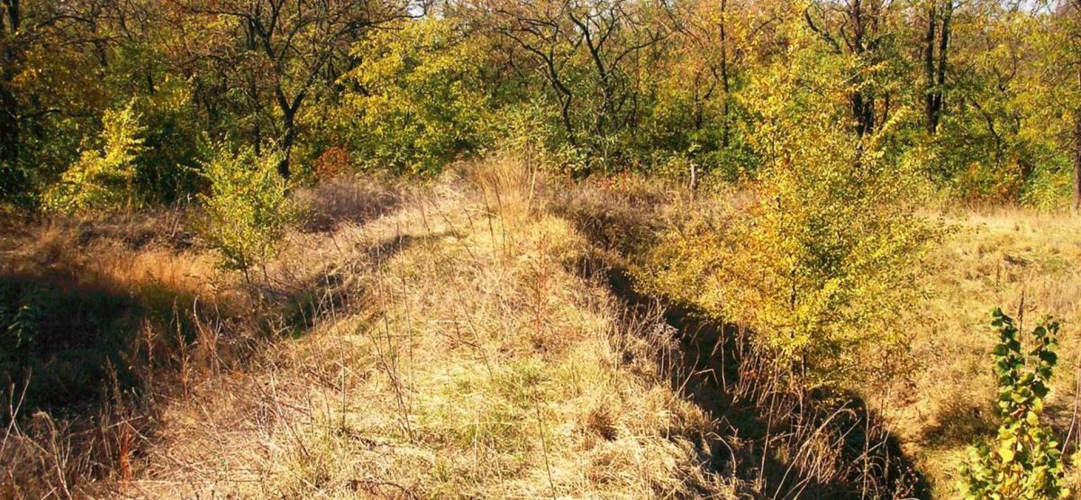 Новобогородицкая крепость