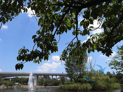 Парк Широкита