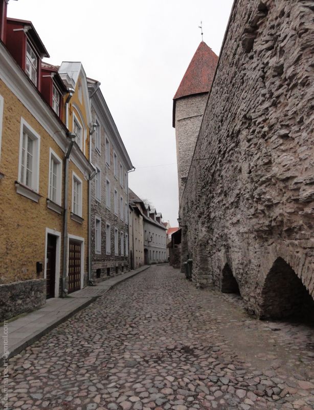 Улица Лаборатоориуми