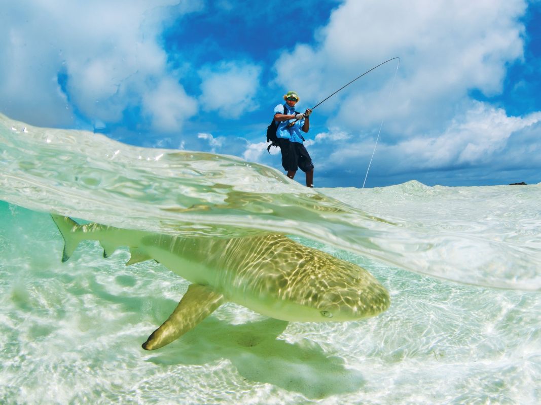 Атолл Пуавр