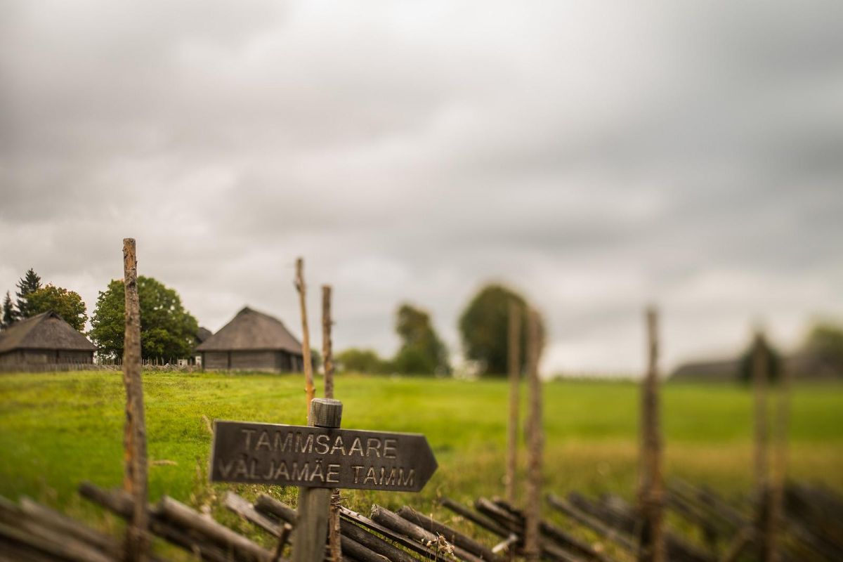 Музей Антона Хансена Таммсааре в Варгамяэ