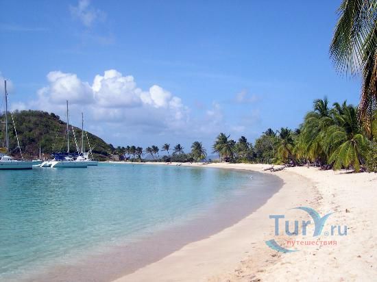 Солт Вистл Бэй