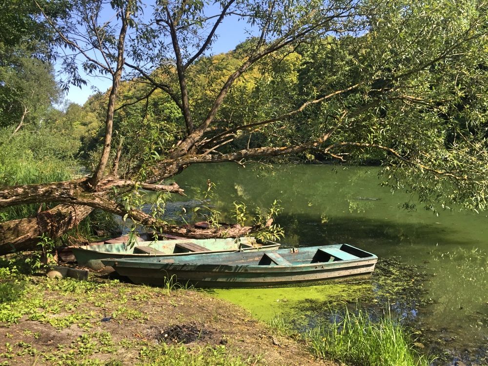 Река Тетерев