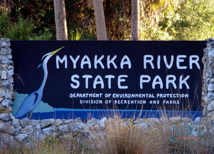 Парк реки Майакка