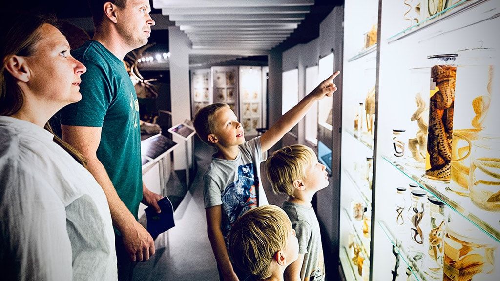 Музей естественной истории