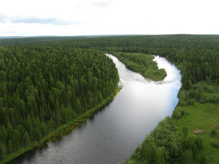 Девственные Леса Коми