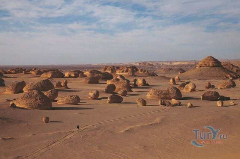 Вади-аль-Хитан