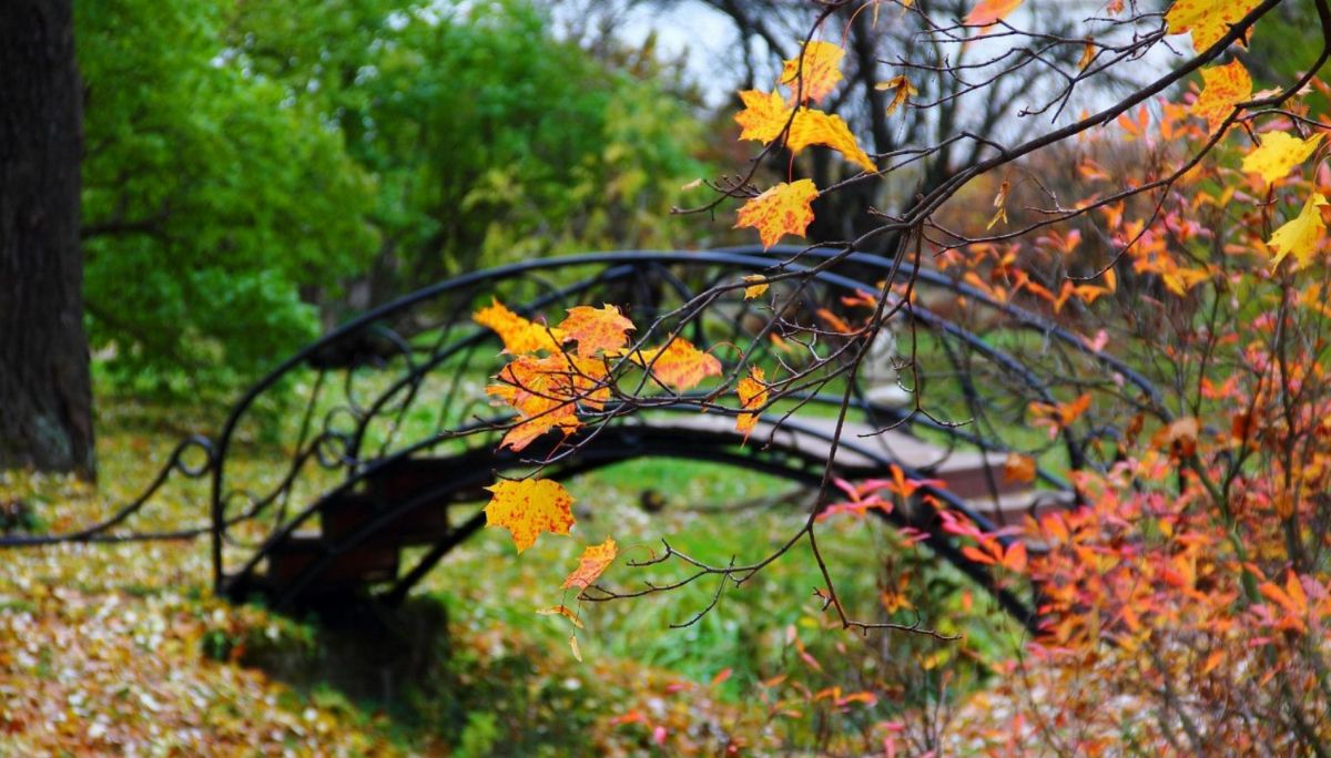 Ботанический сад Петра Великого