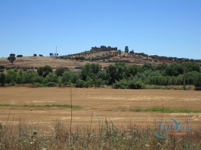 Замок Терена