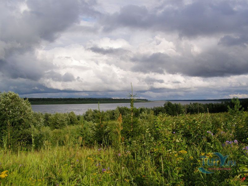 Елогуйский заказник