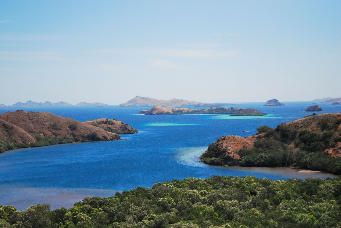 Остров Ринча (Pulau Rinca)