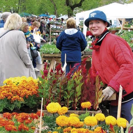 Ярмарка цветов в Тюри