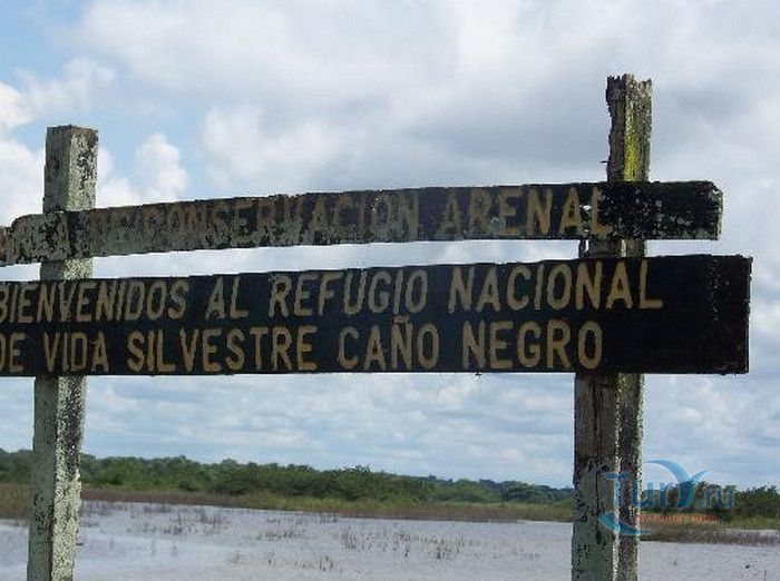 Национальный Заповедник Дикой Природы Каньо Негро 