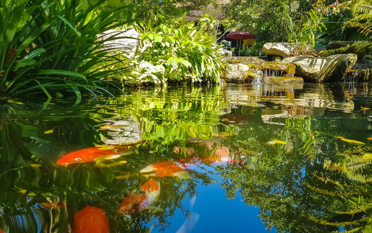 Ботанический сад Пхукета