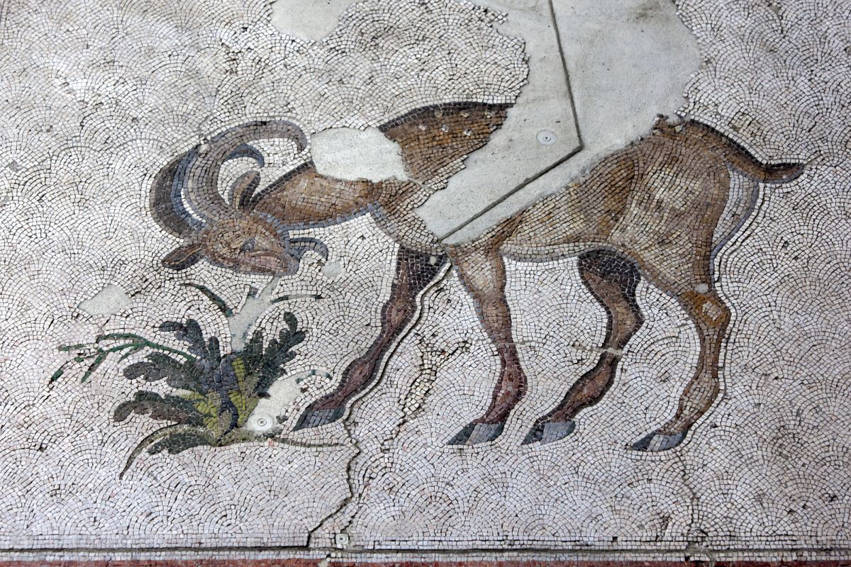 Музей Большого Дворца Мозаики