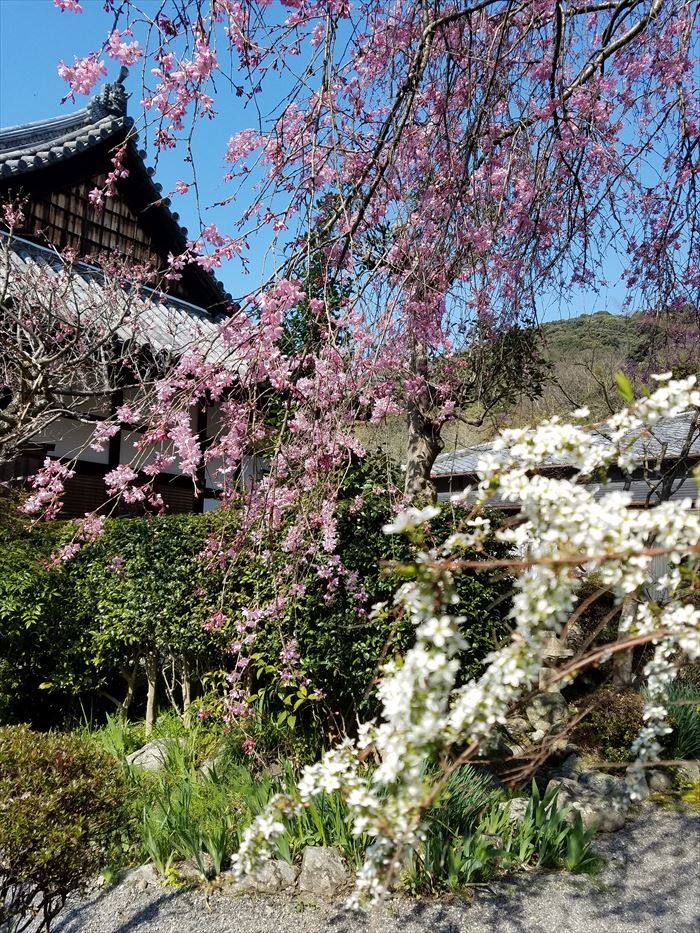 Храм Эсин-ин