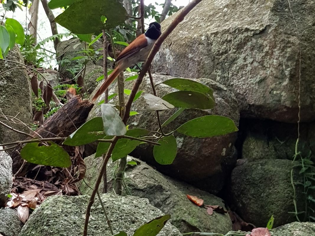 Особый заповедник Veuve