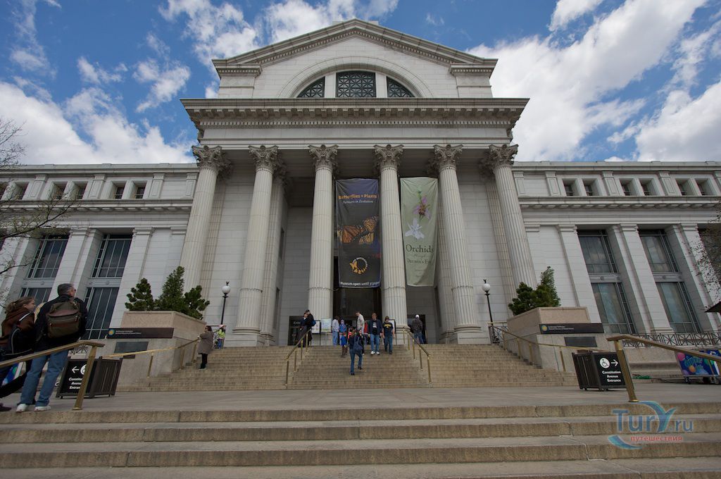 Национальный музей естественной истории