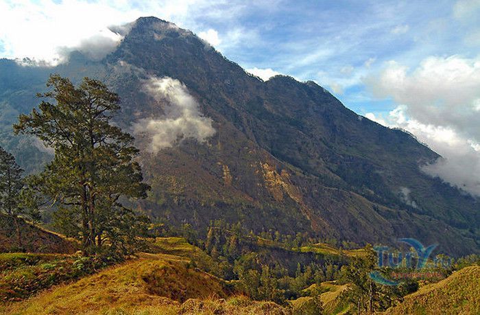 Вулкан Ринджани (Мунта Ринджани)