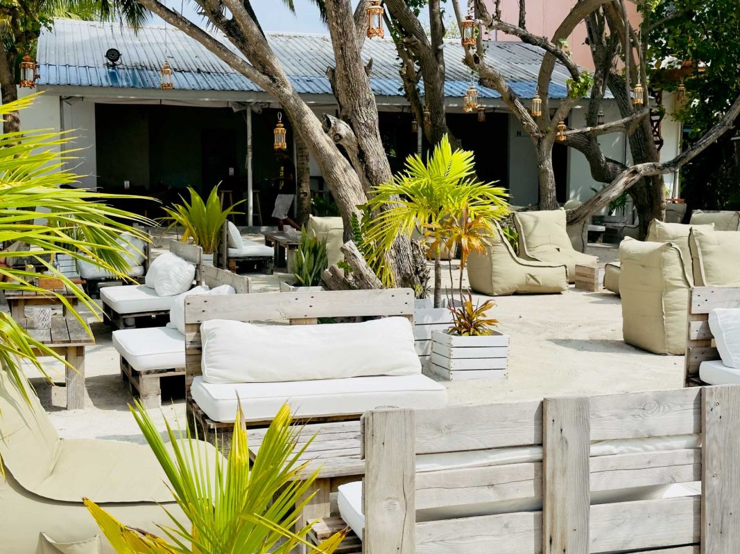 Moonlight - Food . Drinks . Shisha