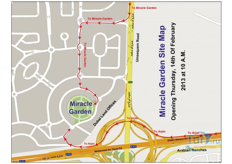 Чудесный сад (Dubai Miracle Garden)