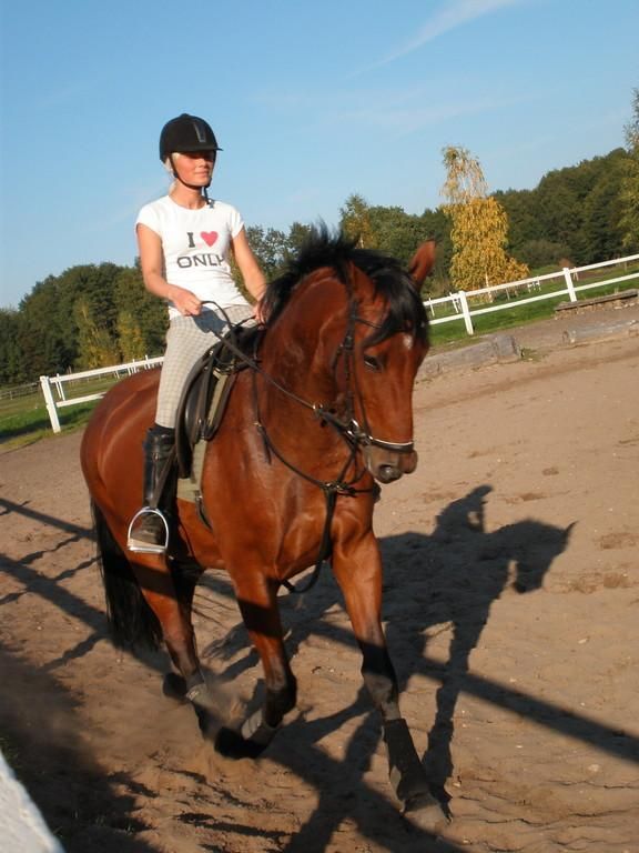 Хутор конного туризма «Сасси»