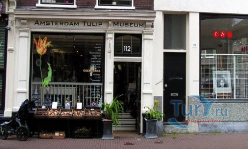 Музей тюльпанов в Амстердаме