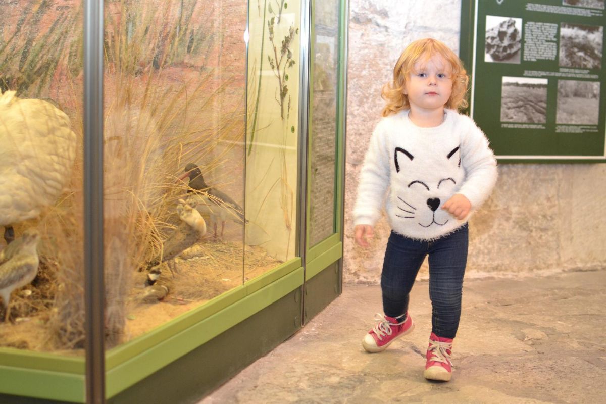 Музей Сааремаа