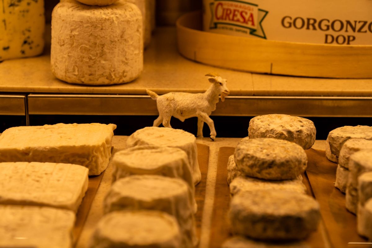 Рынок Биаррица