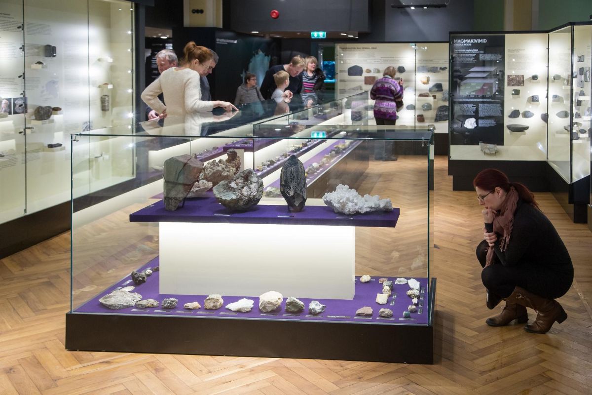 Музей естественной истории Тартуского университета