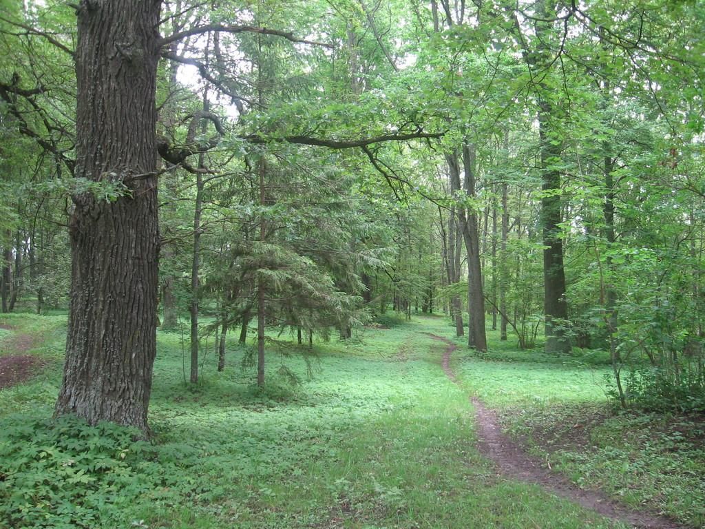 Парк поместья Луунья